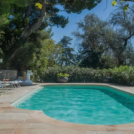 Panorama * 佩萨罗